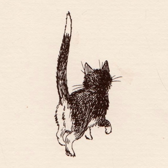 cattyditty